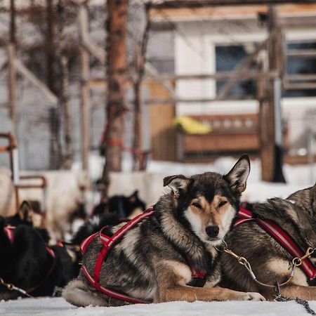 Mattarahkka Northern Light Lodge Kiruna Εξωτερικό φωτογραφία