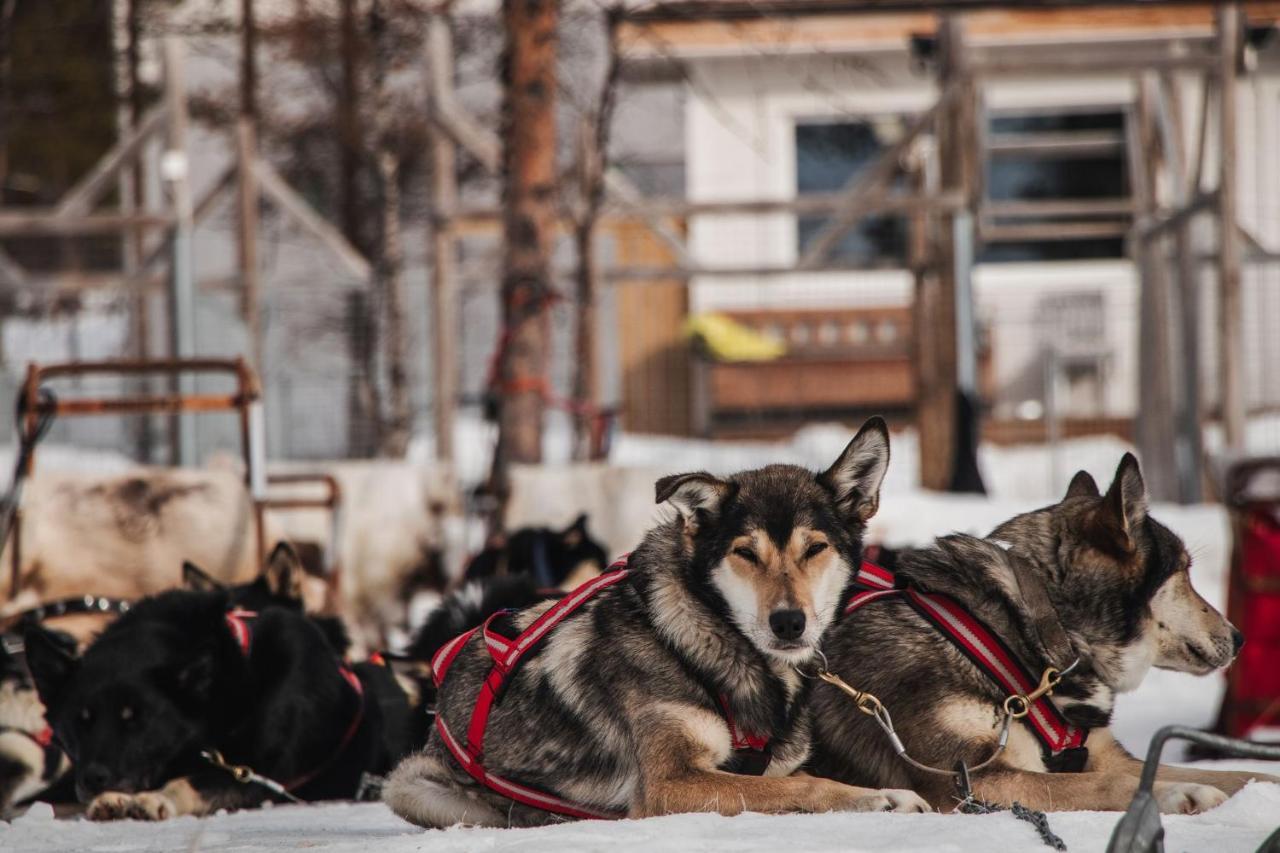 Mattarahkka Northern Light Lodge Kiruna Εξωτερικό φωτογραφία
