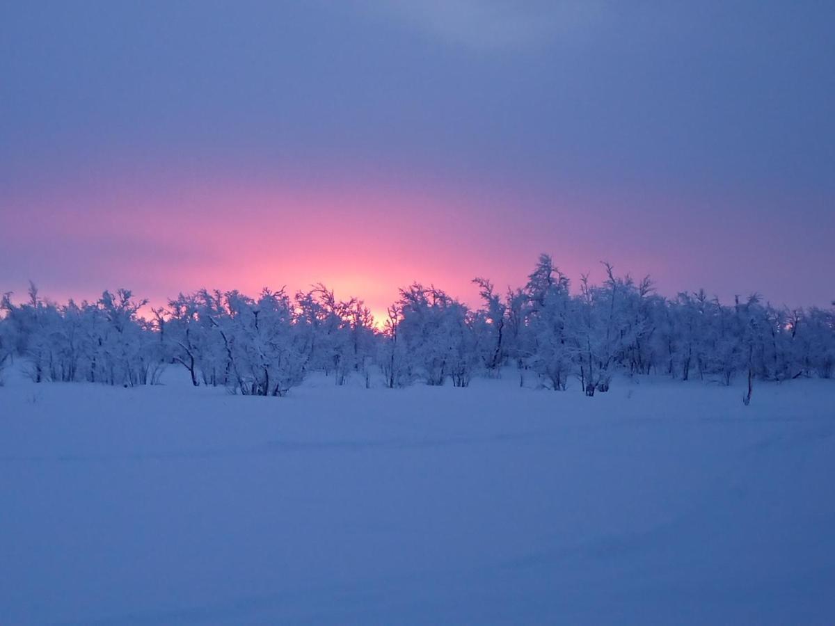 Mattarahkka Northern Light Lodge Kiruna Εξωτερικό φωτογραφία